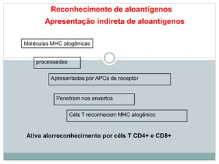 Reconhecimento de aloantígenos
Apresentação indireta de aloantígenos
Moléculas MHC alogênicas
processadas
Apresentadas por APCs de receptor
Penetram nos enxertos
Céls T reconhecem MHC alogênico
Ativa alorreconhecimento por céls T CD4+ e CD8+
 