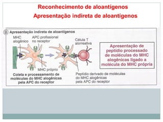 Reconhecimento de aloantígenos
Apresentação indireta de aloantígenos
 