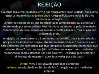 É a causa mais comum do insucesso dos transplantes na atualidade, que é uma
resposta imunológica adquirida onde há especificidade e indução de uma
memória imunológica.
O reconhecimento de células transplantadas como próprias ou estranhas é
determinada por genes polimórficos herdados de ambos os pais, de maneira
codominante, ou seja, indivíduos aceitam enxertos dos pais, mas os pais não
aceitam da prole.
A rejeição de um enxerto se dá por moléculas de MHC, que são sintetizados
por genes localizados no braço curto do Cromossomo 6, em humanos esses
halo antígenos são conhecidos por HLA (antígenos leucocitários humanos), que
ativam células T halo reativas (são linfócitos que reagem com moléculas
reconhecidas como estranhas nos halo enxertos – enxertos geneticamente
diferentes do receptor), que são ativadas por dois tipos:
Direta: MHC é exclusiva de peptídeos estranhos;
Indireta: associação de moléculas de MHC halogênicas com moléculas
próprias.
 