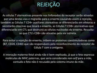 As células T alorreativas presente nos linfonodos do receptor serão ativadas
por uma destas vias e migrarão para o enxerto causando assim a rejeição,
também as Células T CD4+ auxiliares aloreativas se diferenciarão em efetoras e
secretarão citocinas que lesará o enxerto, as Células T CD8+ alorreativas que
diferenciarão em CTL que destruirá as células nucleadas do enxerto. Ressalta-
se que CTL’s CD8+ são ativadas pela via indireta.
Para evitar a rejeição do enxerto, inibem-se proteínas coestimuladoras como
(B7, CD28, CD40) que são responsáveis pelo reconhecimento do receptor da
Célula T com o antígeno.
A interação materno-fetal ainda não é bem explicada, já que o feto expressa
moléculas de MHC paternas, que seria considerado non-self para a mãe,
contudo o feto não é recusado pelo sistema imune da mãe.
 