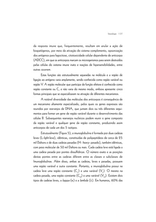 | 37
da resposta imune que, frequentemente, resultam em anular a ação de
biopatógenos, por meio da ativação do sistema complemento, opsonização
dos antígenos para fagocitose, citotoxicidade celular dependente de anticorpo
(ADCC), em que os anticorpos marcam os microrganismos para serem destruídos
pelas células do sistema imune inato e reações de hipersensibilidades, entre
outras ocorrem.
Estas funções são estruturalmente separadas na molécula e a região de
ligação ao antígeno varia amplamente, sendo conhecida como região variável ou
região V. A região molecular que participa da função efetora é conhecida como
região constante ou C, e não varia do mesmo modo, embora apresente cinco
formas principais que se especializaram na ativação de diferentes mecanismos.
A notável diversidade das moléculas dos anticorpos é consequência de
um mecanismo altamente especializado, pelos quais os genes expressos são
reunidos por rearranjos de DNA, que juntam dois ou três diferentes segui-
mentos para formar um gene de região variável durante o desenvolvimento das
células B. Subsequentes rearranjos nucleicos podem reunir o gene composto
da região variável e qualquer gene da região constante, produzindo assim
anticorpos de cada um dos 5 isotipos.
Estruturalmente (Figura 5), a imunoglobulina é formada por duas cadeias
leves (L-light-leve), idênticas, constituídas de polipeptídeos de cerca de 25
mil Daltons e de duas cadeias pesadas (H- heavy- pesado), também idênticas,
com peso molecular de 50 mil Daltons ou mais. Cada cadeia leve está ligada a
uma cadeia pesada por pontes dissulfídricas. O número exato e as posições
destas pontes entre as cadeias diferem entre as classes e subclasses de
Imunoglobulinas. Além disso, ambas as cadeias, leves e pesadas, possuem
uma região variável e outra constante. Portanto, a imunoglobulina possui na
cadeia leve uma região constante (CL
) e uma variável (VL
). O mesmo na
cadeia pesada, uma região constante (CH
) e uma variável (VH
). Existem dois
tipos de cadeias leves, a kappa (k) e a lambda (l). Em humanos, 60% das
Imunologia
 