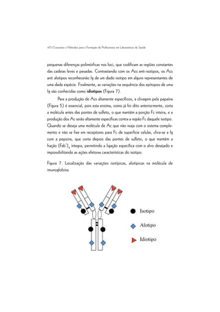42 | Conceitos e Métodos para a Formação de Profissionais em Laboratórios de Saúde
pequenas diferenças polimórficas nos loci, que codificam as regiões constantes
das cadeias leves e pesadas. Contrastando com os Acs anti-isotipos, os Acs
anti alotipos reconhecerão Ig de um dado isotipo em alguns representantes de
uma dada espécie. Finalmente, as variações na sequência dos epitopos de uma
Ig são conhecidas como idiotipos (Figura 7).
Para a produção de Acs altamente específicos, a clivagem pela papaína
(Figura 5) é essencial, pois esta enzima, como já foi dito anteriormente, corta
a molécula antes das pontes de sulfeto, o que mantém a porção Fc inteira, e a
produção dos Ac serão altamente específicas contra a região Fc daquele isotipo.
Quando se deseja uma molécula de Ac que não reaja com o sistema comple-
mento e não se fixe em receptores para Fc de superfície celular, cliva-se a Ig
com a pepsina, que corta depois das pontes de sulfeto, o que mantém a
fração (Fab’)2
íntegra, permitindo a ligação específica com o alvo desejado e
impossibilitando as ações efetoras características do isotipo.
Figura 7. Localização das variações isotípicas, alotípicas na molécula de
imunoglobina.
 