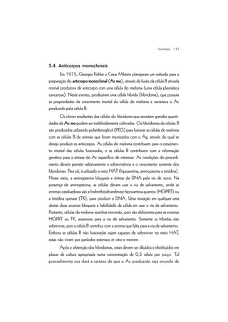 | 43
5.4. Anticorpos monoclonais
Em 1975, Georges Köhler e Cesar Milstein planejaram um método para a
preparação do anticorpo monoclonal (Ac mo), através da fusão da célula B ativada
normal produtora de anticorpo com uma célula do mieloma (uma célula plasmática
cancerosa). Neste evento, produziram uma célula híbrida (hibridoma), que possuía
as propriedades de crescimento imortal da célula do mieloma e secretava o Ac
produzido pela célula B.
Os clones resultantes das células do hibridoma que secretam grandes quanti-
dades de Ac mo podem ser indefinidamente cultivadas. Os hibridomas de células B
são produzidos utilizando polietilenoglicol (PEG) para fusionar as células do mieloma
com as células B de animais que foram imunizados com o Ag, através do qual se
deseja produzir os anticorpos. As células do mieloma contribuem para o crescimen-
to imortal das células fusionadas, e as células B contribuem com a informação
genética para a síntese do Ac específico de interesse. As condições do procedi-
mento devem permitir seletivamente a sobrevivência e o crescimento somente dos
hibridomas. Para tal, é utilizado o meio HAT (hipoxantina, aminopterina e timidina).
Neste meio, a aminopterina bloqueia a síntese de DNA pela via de novo. Na
presença de aminopterina, as células devem usar a via de salvamento, onde as
enzimas catalisadoras são a fosforribosiltransferase hipoxantina-guanina (HGPRT) ou
a timidina quinase (TK), para produzir o DNA. Uma mutação em qualquer uma
destas duas enzimas bloqueia a habilidade da célula em usar a via de salvamento.
Portanto, células do mieloma sozinhas morrerão, pois são deficientes para as enzimas
HGPRT ou TK, essenciais para a via de salvamento. Somente as híbridas irão
sobreviver, pois a célula B contribui com a enzima que falta para a via de salvamento.
Embora as células B não fusionadas sejam capazes de sobreviver no meio HAT,
estas não vivem por períodos extensos in vitro e morrem.
Após a obtenção dos hibridomas, estes devem ser diluídos e distribuídos em
placas de cultura apropriada numa concentração de 0,5 célula por poço. Tal
procedimento nos dará a certeza de que o Ac produzido seja oriundo de
Imunologia
 