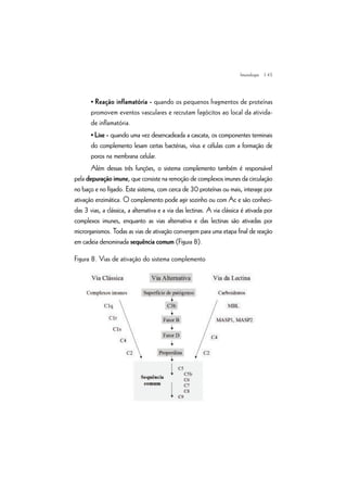 | 45
• Reação inflamatória - quando os pequenos fragmentos de proteínas
promovem eventos vasculares e recrutam fagócitos ao local da ativida-
de inflamatória.
• Lise - quando uma vez desencadeada a cascata, os componentes terminais
do complemento lesam certas bactérias, vírus e células com a formação de
poros na membrana celular.
Além dessas três funções, o sistema complemento também é responsável
pela depuração imune, que consiste na remoção de complexos imunes da circulação
no baço e no fígado. Este sistema, com cerca de 30 proteínas ou mais, interage por
ativação enzimática. O complemento pode agir sozinho ou com Ac e são conheci-
das 3 vias, a clássica, a alternativa e a via das lectinas. A via clássica é ativada por
complexos imunes, enquanto as vias alternativa e das lectinas são ativadas por
microrganismos. Todas as vias de ativação convergem para uma etapa final de reação
em cadeia denominada sequência comum (Figura 8).
Figura 8. Vias de ativação do sistema complemento
Imunologia
 