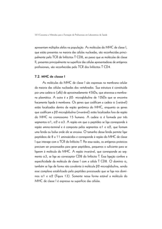 52 | Conceitos e Métodos para a Formação de Profissionais em Laboratórios de Saúde
apresentam múltiplos alelos na população. As moléculas do MHC de classe I,
que estão presentes na maioria das células nucleadas, são reconhecidas princi-
palmente pelo TCR de linfócitos T CD8, ao passo que as moléculas de classe
II, presentes principalmente na superfície das células apresentadoras de antígenos
profissionais, são reconhecidas pelo TCR dos linfócitos T CD4.
7.2. MHC de classe I
As moléculas do MHC de classe I são expressas na membrana celular
da maioria das células nucleadas dos vertebrados. Sua estrutura é constituída
por uma cadeia a (alfa) de aproximadamente 45kDa, que atravessa a membra-
na plasmática. A outra é a b2- microglobulina de 12kDa que se encontra
fracamente ligada à membrana. Os genes que codificam a cadeia a (variável)
estão localizados dentro da região genômica do MHC, enquanto os genes
que codificam a b2-microglobulina (invariável) estão localizados fora da região
do MHC no cromossomo 15 humano. A cadeia a é formada por três
segmentos a1, a2 e a3. A região em que o peptídeo se liga corresponde à
região amino-terminal e é composta pelos segmentos a1 e a2, que formam
uma fenda ou bolsa onde ele se encaixa. O tamanho dessa fenda permite ligar
peptídeos de 8 a 11 aminoácidos e corresponde à região do MHC de classe
I que interage com o TCR do linfócito T. Por essa razão, os antígenos proteicos
precisam ser processados para gerar peptídeos, pequenos o suficiente para se
ligarem à molécula do MHC. A região invariável, que corresponde ao seg-
mento a3, se liga ao correceptor CD8 do linfócito T. Essa ligação confere a
especificidade da molécula de classe I com a célula T CD8. O domínio a,
também se liga de forma não covalente à molécula b2-microglobulina, sendo
esse complexo estabilizado pelo peptídeo processado que se liga nos domí-
nios a1 e a2 (Figura 13). Somente nessa forma estável a molécula do
MHC de classe I é expressa na superfície das células.
 