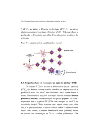 56 | Conceitos e Métodos para a Formação de Profissionais em Laboratórios de Saúde
T CD4+, que podem se diferenciar em dois tipos: CD4+Th1, que ativam
células mononucleares (macrófagos e linfócitos) e CD4+Th2, que induzem a
proliferação e diferenciação das células B em plasmócitos produtores de
anticorpos.
Figura 14. Esquema geral da resposta celular e humoral
8.1. Resposta celular e o mecanismo de ação das células T CD8+
Os linfócitos T CD8+ ativados se diferenciam em células T citolíticas
(CTL), que destroem somente as células portadoras do antígeno associado a
produtos de classe I do MHC, não danificando a célula vizinha durante o
evento. O mecanismo de ação pode ocorrer pela lise direta através das enzimas
perforinas e granzimas, como também pela indução de apoptose. No primei-
ro processo, após a ligação do TCR/CD3 com o antígeno via MHC I, os
microtúbulos da célula CD8+ se movem para a área de contato com a célula
alvo, e os grânulos contendo as enzimas citolíticas também se aglomeram nesta
região. Neste contato, as proteínas formadoras de poros (perforinas) entram
em contato com concentrações de Ca++ e sofrem polimerização. Esta
 