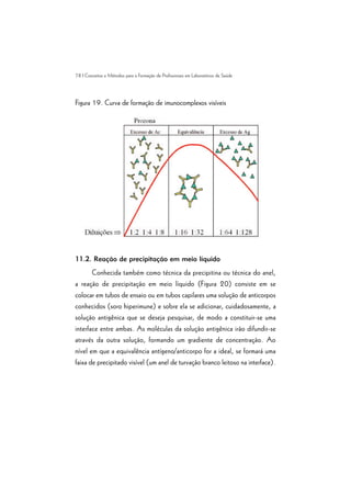 78 | Conceitos e Métodos para a Formação de Profissionais em Laboratórios de Saúde
Figura 19. Curva de formação de imunocomplexos visíveis
11.2. Reação de precipitação em meio líquido
Conhecida também como técnica da precipitina ou técnica do anel,
a reação de precipitação em meio líquido (Figura 20) consiste em se
colocar em tubos de ensaio ou em tubos capilares uma solução de anticorpos
conhecidos (soro hiperimune) e sobre ela se adicionar, cuidadosamente, a
solução antigênica que se deseja pesquisar, de modo a constituir-se uma
interface entre ambas. As moléculas da solução antigênica irão difundir-se
através da outra solução, formando um gradiente de concentração. Ao
nível em que a equivalência antígeno/anticorpo for a ideal, se formará uma
faixa de precipitado visível (um anel de turvação branco leitoso na interface).
 