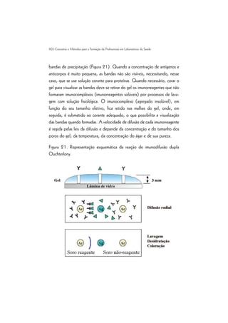 80 | Conceitos e Métodos para a Formação de Profissionais em Laboratórios de Saúde
bandas de precipitação (Figura 21). Quando a concentração de antígenos e
anticorpos é muito pequena, as bandas não são visíveis, necessitando, nesse
caso, que se use solução corante para proteínas. Quando necessário, corar o
gel para visualizar as bandas deve-se retirar do gel os imunorreagentes que não
formaram imunocomplexos (imunorreagentes solúveis) por processos de lava-
gem com solução fisiológica. O imunocomplexo (agregado insolúvel), em
função do seu tamanho efetivo, fica retido nas malhas do gel, onde, em
seguida, é submetido ao corante adequado, o que possibilita a visualização
das bandas quando formadas. A velocidade de difusão de cada imunorreagente
é regida pelas leis da difusão e depende da concentração e do tamanho dos
poros do gel, da temperatura, da concentração do ágar e de sua pureza.
Figura 21. Representação esquemática da reação de imunodifusão dupla
Ouchterlony.
 