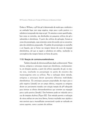 82 | Conceitos e Métodos para a Formação de Profissionais em Laboratórios de Saúde
Grabar e Williams, o pH do gel é determinado de modo que a molécula a
ser analisada fique com carga negativa, migre para o polo positivo e a
substância incorporada não migre ao gel. As amostras a serem quantificadas,
bem como os controles, são distribuídos em pequenos orifícios do gel e
submetidos à eletroforese. A partir dos orifícios de aplicação, formam-se
cones de precipitação, cujas extensões variam de acordo com as concentra-
ções das substâncias pesquisadas. O padrão de precipitação se assemelha
a um foguete, por se formar nas margens laterais do curso da migração
eletroforética, até que se esgote a substância em análise, resultando na
convergência das margens laterais em forma de ponta.
11.8. Reação de contraimunoeletroforese
Também chamada de eletroimunodifusão dupla unidimensional. Nesta
técnica, antígenos e anticorpos migram por eletroforese, simultaneamen-
te, em direções opostas, a partir de orifícios separados do gel, no mes-
mo eixo, resultando na precipitação no ponto de encontro dos
imunorreagentes entre os orifícios. Para a realização deste método,
antígenos e anticorpos devem apresentar diferentes mobilidades
eletroforéticas. Os anticorpos possuem propriedades de migrar para o
polo negativo (cátodo) em um campo elétrico, enquanto os antígenos
devem ser previamente tratados com solução tampão de pH adequado
para otimizar os efeitos eletroendosmóticos que orientem sua migração
para o polo positivo (ânodo). Este fenômeno pode ser induzido com o
uso de tampões alcalinos (Figura 22). Este método permite a realização
de várias análises em uma única lâmina, fornece resultados mais rápidos e
mais sensíveis que a imunodifusão convencional e pode ser realizado em
outros suportes, como o acetato de celulose.
 