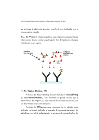 96 | Conceitos e Métodos para a Formação de Profissionais em Laboratórios de Saúde
ou anticorpo é adicionado primeiro, seguido de uma incubação com o
imunorreagente marcado.
Figura 30. Modelo de método competitivo, onde antígenos marcados e antígenos
não marcados de uma amostra competem pelos sítios de ligação dos anticorpos
imobilizados em um suporte
11.17. Western blotting - WB
A técnica de Western Blotting, também chamada de immunoblotting
ou imunoeletrotransferência, é uma ferramenta de grande utilidade para a
caracterização de antígenos, ou para pesquisa de anticorpos específicos para
um determinado componente antigênico.
A técnica de WB baseia-se numa combinação de três métodos muito
aplicados em biologia molecular: a separação de macromoléculas através de
eletroforese em gel de poliacrilamida, na presença de duodecil-sulfato de
 