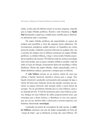 26 | Conceitos e Métodos para a Formação de Profissionais em Laboratórios de Saúde
celular, os dois tipos de linfócitos entram na corrente sanguínea, migrando
para os órgãos linfoides periféricos. Durante a vida intrauterina, o fígado
fetal desempenha o papel que a medula óssea vermelha passa a desenvol-
ver plenamente após o nascimento.
Os órgãos linfoides periféricos são especializados na captura do
antígeno para possibilitar o início das respostas imunes adaptativas. Os
microrganismos patogênicos podem penetrar no hospedeiro por muitas
portas de entrada, instalando o processo infeccioso em qualquer sítio, mas
o encontro do antígeno com os linfócitos acontecerá nos órgãos linfoides
periféricos: os nódulos linfáticos, o baço e vários tecidos linfoides associa-
dos às superfícies das mucosas. Os linfócitos estão em contínua recirculação
entre esses tecidos, para os quais o antígeno também é carreado, vindo de
todos os locais de infecção, primariamente dentro de macrófagos e células
dendríticas. Dentro dos órgãos linfoides, células especializadas, como as
células dendríticas maduras, apresentam o antígeno para os linfócitos.
A rede linfática consiste em um extenso sistema de vasos que
coletam o líquido intersticial, fazendo-o retornar para o sangue. Esse
líquido intersticial é produzido continuamente pela passagem de água e
solutos de baixo peso molecular através das paredes vasculares que pe-
netram no espaço intersticial, pela secreção celular e outros fatores de
excreção. Ao ser parcialmente drenado para os vasos linfáticos, passa a
ser chamado de linfa. A linfa flui lentamente pelos vasos linfáticos primá-
rios, deságua em vasos linfáticos de calibre progressivamente maior, que
convergem para o ducto torácico, e desemboca na veia cava superior,
que, por sua vez, devolve todo o volume para a corrente sanguínea, num
fenômeno denominado recirculação.
Localizados em pontos de convergência da rede vascular, os nódu-
los linfáticos constituem uma série de órgãos encapsulados em forma de
“caroço de feijão”, que se distribuem ao longo dos vasos linfáticos. Os
 