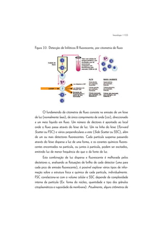 | 103
Figura 33. Detecção de linfóticos B fluorescente, por citometria de fluxo
O fundamendo da citometria de fluxo consiste na emissão de um feixe
de luz (normalmente laser), de único comprimento de onda (cor), direccionado
a um meio líquido em fluxo. Um número de dectores é apontado ao local
onde o fluxo passa através do feixe de luz. Um na linha do feixe (Forward
Scatter ou FSC) e vários perpendiculares a este (Side Scatter ou SSC), além
de um ou mais detectores fluorescentes. Cada partícula suspensa passando
através do feixe dispersa a luz de uma forma, e os corantes químicos fluores-
centes encontrados na partícula, ou juntos à partícula, podem ser excitados,
emitindo luz de menor frequência do que o da fonte de luz.
Esta combinação de luz dispersa e fluorescente é melhorada pelos
dectetores e, analisando as flutuações de brilho de cada detector (uma para
cada pico de emissão fluorescente), é possível explorar vários tipos de infor-
mação sobre a estrutura física e química de cada partícula, individualmente.
FSC correlaciona-se com o volume celular e SSC depende da complexidade
interna da partícula (Ex: forma do núcleo, quantidade e tipo dos grânulos
citoplasmáticos e rugosidade da membrana). Atualmente, alguns citômetros de
Imunologia
 