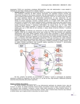 Arlindo Ugulino Netto – IMUNOLOGIA I – MEDICINA P3 – 2008.2
(expressam TCR-2) em reconhecer complexos MHC-peptídios, eles são selecionados e essa seleção é
realizada em duas fazes: seleção positiva e seleção negativa.
 Seleção positiva: à medida que os timócitos entram em contato com células epiteliais do córtex tímico
(que sintetizam moléculas do MHC próprias associadas com peptídeos próprios oriundos das
membranas celulares ou dos liquidos corporais), eles são selecionados com a avidez dos seus TCRs
pelos complexos MHC-peptídeo. Os timócitos que apresentam TCR com um limite mínimo de avidez
por esses peptídeos próprios são selecionados positivamente, ou seja, sobrevivem. Os que
apresentam uma avidez alta morrem por apoptose para que, ao chegarem ao sistema, não ataquem
células do próprio organismo. Durante a seleção positiva, os LT CD3+ CD4+ CD8+ cujos TCR
reconhecem o complexo MHC classe I-peptídeo passam a expressar CD8 porque essa molécula adere
à molécula de classe I e um sinal é emitido nos sentidos do CD4 deixar de ser expresso e essas
células tornam-se linfócitos T citotóxicos (CD3+CD8+). Da mesma forma, nos LT cujos TCRs
reconhecem MHC classe II-peptídeo, a molécula CD4 adere à molécula de classe II e um sinal é
emitido para que a CD8 deixa de ser expressa, e essas células tornam-se linfócitos T auxiliares
(CD3+CD4+).
 Seleção Negativa: os linfócitos que sobrevivem na fase de seleção positiva passam pela seleção
negativa. Esse tipo de seleção pode ocorrer pelo contato dos TCRs dos timocitos com peptídeos
apresentados tanto pelas células epiteliais tímicas quanto pelos macrófagos e células dendríticas
interdigitantes. Nessa seleção, os TCRs que reconhecem com alta afinidade os complexos MHC classe
I ou II e peptídeos morrem por apoptose; os que reconhecem com média afinidade, sobrevivem. Por
tanto, os timocitos CD4+CD8+ selecionados apresentam TCR que reconhece com média afinidade
complexos formados pelas proteínas MHC classe I ou II associadas com peptídeos. Após o processo
seletivo, essas células migram, pelos vasos sanguíneos e linfáticos presentes na região medular, para
os órgãos linfóides secundários onde ocuparão regiões especificas de linfócitos T, denominadas
regiões timo-dependetes ou T-dependentes.
No timo, portanto, há também um ensinamento ao linfócito T quanto à composição de peptídeos
estranhos e próprios do organismo, de modo que o LT, ao sair do timo, seja treinado a diferenciar proteínas
estranhas das produzidas pelo próprio organismo.
…rg‚os Linf•ides Secund†rios
Os tecidos linfóides secundários são os que efetivamente participam da resposta imune, seja ela
humoral ou celular. As células presentes nesses tecidos secundários tiveram origem nos tecidos primários,
que migraram pela circulação e atingiram o tecido. Neles estão presentes os nodos linfáticos difusos, ou
encapsulados como os linfonodos, as placas de Peyer, tonsilas baço e medula óssea. Devemos aqui destacar
a medula óssea, que é órgão primário e secundário ao mesmo tempo.
 