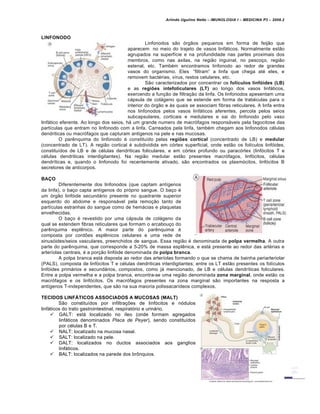 Arlindo Ugulino Netto – IMUNOLOGIA I – MEDICINA P3 – 2008.2
LINFONODO
Linfonodos s…o „rg…os pequenos em forma de feij…o que
aparecem no meio do trajeto de vasos linfƒticos. Normalmente est…o
agrupados na superf•cie e na profundidade nas partes proximais dos
membros, como nas axilas, na regi…o inguinal, no pesco†o, regi…o
estenal, etc. Tamb€m encontramos linfonodo ao redor de grandes
vasos do organismo. Eles “filtram” a linfa que chega at€ eles, e
removem bact€rias, v•rus, restos celulares, etc.
S…o caracterizados por concentrar os folículos linfóides (LB)
e as regiões intefoliculares (LT) ao longo dos vasos linfƒticos,
exercendo a fun†…o de filtra†…o da linfa. Os linfonodos apesentam uma
cƒpsula de colƒgeno que se estende em forma de trab€culas para o
interior do „rg…o e Šs quais se associam fibras reticulares. A linfa entra
nos linfonodos pelos vasos linfƒticos aferentes, percola pelos seios
subcapsulares, corticais e medulares e sai do linfonodo pelo vaso
linfƒtico eferente. Ao longo dos seios, hƒ um grande numero de macr„fagos responsƒveis pela fagocitose das
part•culas que entram no linfonodo com a linfa. Carreados pela linfa, tamb€m chegam aos linfonodos c€lulas
dendriticas ou macr„fagos que capturam ant•genos na pele e nas mucosas.
O par‚nquima do linfonodo € constitu•do pelas regiões cortical (concentrado de LB) e medular
(concentrado de LT). A regi…o cortical € subdividida em c„rtex superficial, onde est…o os fol•culos linf„ides,
constitu•dos de LB e de c€lulas dendriticas foliculares, e em c„rtex profundo ou parac„rtex (linf„citos T e
c€lulas dendriticas interdigitantes). Na regi…o medular est…o presentes macr„fagos, linf„citos, c€lulas
dendr•ticas e, quando o linfonodo foi recentemente ativado, s…o encontrados os plasm„citos, linf„citos B
secretores de anticorpos.
BAÇO
Diferentemente dos linfonodos (que captam ant•genos
da linfa), o ba†o capta ant•genos do pr„prio sangue. O ba†o €
um „rg…o linf„ide secundƒrio presente no quadrante superior
esquerdo do abdome e responsƒvel pela remo†…o tanto de
part•culas estranhas do sangue como de hemƒcias e plaquetas
envelhecidas.
O ba†o € revestido por uma cƒpsula de colƒgeno da
qual se estendem fibras reticulares que formam o arcabou†o do
par‚nquima espl‚nico. A maior parte do par‚nquima €
composta por cord‡es espl‚nicos celulares e uma rede de
sinus„ides/seios vasculares, preenchidos de sangue. Essa regi…o € denominada de polpa vermelha. A outra
parte do par‚nquima, que corresponde a 5-20% de massa espl‚nica, e estƒ presente ao redor das art€rias e
arter•olas centrais, € a por†…o linf„ide denominada de polpa branca.
A polpa branca estƒ disposta ao redor das arter•olas formando o que se chama de bainha periarteriolar
(PALS), composta de linf„citos T e c€lulas dendriticas interdigitantes; entre os LT est…o presentes os fol•culos
linf„ides primƒrios e secundƒrios, compostos, como jƒ mencionado, de LB e c€lulas dendr•ticas foliculares.
Entre a polpa vermelha e a polpa branca, encontra-se uma regi…o denominada zona marginal, onde est…o os
macr„fagos e os linf„citos. Os macr„fagos presentes na zona marginal s…o importantes na resposta a
ant•genos T-independentes, que s…o na sua maioria polissacar•deos complexos.
TECIDOS LINFÁTICOS ASSOCIADOS A MUCOSAS (MALT)
S…o constitu•dos por infiltra†‡es de linf„citos e n„dulos
linfƒticos do trato gastrointestinal, respirat„rio e urinƒrio.
 GALT: estƒ localizado no •leo (onde formam agregados
linfƒticos denominados Placa de Peyer), sendo constitu•dos
por c€lulas B e T.
 NALT: localizado na mucosa nasal.
 SALT: localizado na pele.
 DALT: localizados no ductos associados aos ganglios
linfƒticos.
 BALT: localizados na parede dos br•nquios.
 