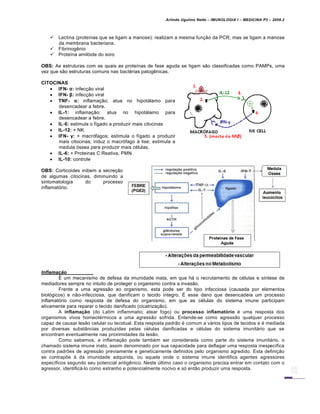 Arlindo Ugulino Netto – IMUNOLOGIA I – MEDICINA P3 – 2008.2
 Lectina (proteínas que se ligam a manose): realizam a mesma função da PCR, mas se ligam a manose
da membrana bacteriana.
 Fibrinogênio
 Proteína amilóide do soro
OBS: As estruturas com as quais as proteínas de fase aguda se ligam são classificadas como PAMPs, uma
vez que são estruturas comuns nas bactérias patogênicas.
CITOCINAS
 IFN- α: infecção viral
 IFN- β: infecção viral
 TNF- α: inflamação; atua no hipotálamo para
desencadear a febre.
 IL-1: inflamação; atua no hipotálamo para
desencadear a febre.
 IL-6: estimula o fígado a produzir mais citocinas
 IL-12: + NK
 IFN- γ: + macrófagos; estimula o fígado a produzir
mais citocinas; induz o macrófago à lise; estimula a
medula óssea para produzir mais células.
 IL-6: + Proteinas C Reativa, PMN
 IL-10: controle
OBS: Corticoides inibem a secreção
de algumas citocinas, diminuindo a
sintomatologia do processo
inflamatório.
Inflamaˆ‚o
É um mecanismo de defesa da imunidade inata, em que há o recrutamento de células e síntese de
mediadores sempre no intuito de proteger o organismo contra a invasão.
Frente a uma agressão ao organismo, esta pode ser do tipo infecciosa (causada por elementos
biológicos) e não-infecciosa, que danificam o tecido íntegro. É esse dano que desencadeia um processo
inflamatório como resposta de defesa do organismo, em que as células do sistema imune participam
ativamente para reparar o tecido danificado (cicatrização).
A inflama‚ƒo (do Latim inflammatio, atear fogo) ou processo inflamat€rio é uma resposta dos
organismos vivos homeotérmicos a uma agressão sofrida. Entende-se como agressão qualquer processo
capaz de causar lesão celular ou tecidual. Esta resposta padrão é comum a vários tipos de tecidos e é mediada
por diversas substâncias produzidas pelas células danificadas e células do sistema imunitário que se
encontram eventualmente nas proximidades da lesão.
Como sabemos, a inflamação pode também ser considerada como parte do sistema imunitário, o
chamado sistema imune inato, assim denominado por sua capacidade para deflagar uma resposta inespecífica
contra padrões de agressão previamente e geneticamente definidos pelo organismo agredido. Esta definição
se contrapõe à da imunidade adquirida, ou aquela onde o sistema imune identifica agentes agressores
específicos segundo seu potencial antigênico. Neste último caso o organismo precisa entrar em contato com o
agressor, identificá-lo como estranho e potencialmente nocivo e só então produzir uma resposta.
 