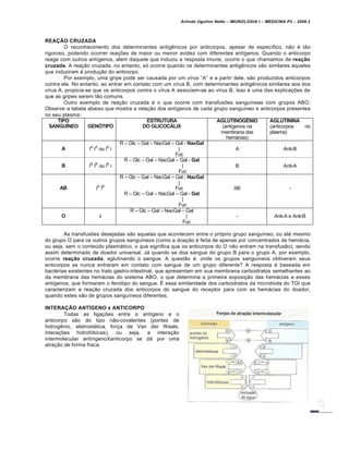 Arlindo Ugulino Netto – IMUNOLOGIA I – MEDICINA P3 – 2008.2
REAÇÃO CRUZADA
O reconhecimento dos determinantes antig‚nicos por anticorpos, apesar de espec•fico, n…o € t…o
rigoroso, podendo ocorrer rea†‡es de maior ou menor avidez com diferentes ant•genos. Quando o anticorpo
reage com outros ant•genos, alem daquele que induziu a resposta imune, ocorre o que chamamos de reação
cruzada. A rea†…o cruzada, no entanto, s„ ocorre quando os determinantes antig‚nicos s…o similares Šqueles
que induziram Š produ†…o do anticorpo.
Por exemplo, uma gripe pode ser causada por um v•rus “A” e a partir dele, s…o produzidos anticorpos
contra ele. No entanto, ao entrar em contato com um v•rus B, com determinantes antig‚nicos similares aos dos
v•rus A, propicia-se que os anticorpos contra o v•rus A associem-se ao v•rus B. Isso € uma das explica†‡es de
que as gripes serem t…o comuns.
Outro exemplo de rea†…o cruzada € o que ocorre com transfus‡es sangu•neas com grupos ABO.
Observe a tabela abaixo que mostra a rela†…o dos ant•genos de cada grupo sangu•neo e anticorpos presentes
no seu plasma:
TIPO
SANGUÍNEO GENÓTIPO
ESTRUTURA
DO GLICOCÁLIX
AGLUTINOGÊNIO
(ant•genos na
membrana das
hemƒcias)
AGLUTININA
(anticorpos no
plasma)
A IA
IA
ou IA
i
R – Glc – Gal – NacGal – Gal - NacGal
|
Fuc
A Anti-B
B IB
IB
ou IB
i
R – Glc – Gal – NacGal – Gal - Gal
|
Fuc
B Anti-A
AB IA
IB
R – Glc – Gal – NacGal – Gal - NacGal
|
Fuc
R – Glc – Gal – NacGal – Gal - Gal
|
Fuc
AB -
O ii
R – Glc – Gal – NacGal – Gal
|
Fuc
- Anti-A e Anti-B
As transfus‡es desejadas s…o aquelas que acontecem entre o pr„prio grupo sangu•neo, ou at€ mesmo
do grupo O para os outros grupos sangu•neos (como a doa†…o € feita de apenas por concentrados de hemƒcia,
ou seja, sem o conteŽdo plasmƒtico, o que significa que os anticorpos do O n…o entram na transfus…o), sendo
assim determinado de doador universal. Jƒ quando se doa sangue do grupo B para o grupo A, por exemplo,
ocorre reação cruzada, aglutinando o sangue. A quest…o €: onde os grupos sangu•neos obtiveram seus
anticorpos se nunca entraram em contato com sangue de um grupo diferente? A resposta € baseada em
bact€rias existentes no trato gastro-intestinal, que apresentam em sua membrana carboidratos semelhantes ao
da membrana das hemƒcias do sistema ABO, o que determina a primeira exposi†…o das hemƒcias a esses
ant•genos, que formaram o fen„tipo do sangue. • essa similaridade dos carboidratos da microbiota do TGI que
caracterizam a rea†…o cruzada dos anticorpos do sangue do receptor para com as hemƒcias do doador,
quando estes s…o de grupos sangu•neos diferentes.
INTERAÇÃO ANTÍGENO x ANTICORPO
Todas as liga†‡es entre o ant•geno e o
anticorpo s…o do tipo n…o-covalentes (pontes de
hidrog‚nio, eletrostƒtica, for†a de Van der Waals,
intera†‡es hidrof„bicas), ou seja, a intera†…o
intermolecular ant•ngenoXanticorpo se dƒ por uma
atra†…o de forma fraca.
 