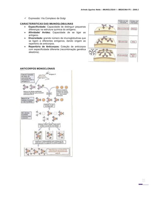 Arlindo Ugulino Netto – IMUNOLOGIA I – MEDICINA P3 – 2008.2
 Expressão: Via Complexo de Golgi
CARACTERISTICAS DAS IMUNOGLOBULINAS
 Especificidade: Capacidade de distinguir pequenas
diferenças na estrutura química do antígeno.
 Afinidade/ Avidez: Capacidade de se ligar ao
antígeno.
 Diversidade: grande número de imunoglobulinas que
se ligam a diferentes antígenos, dando origem ao
repertório de anticorpos.
 Repertório de Anticorpos: Coleção de anticorpos
com especificidade diferente (recombinação genética
aleatória).
ANTICORPOS MONOCLONAIS
 