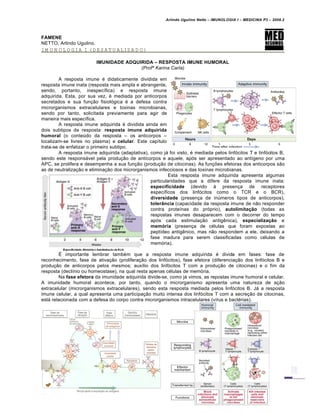 Arlindo Ugulino Netto – IMUNOLOGIA I – MEDICINA P3 – 2008.2
FAMENE
NETTO, Arlindo Ugulino.
IMUNOLOGIA I (DESATUALIZADO)
IMUNIDADE ADQUIRIDA – RESPOSTA IMUNE HUMORAL
(Profª Karina Carla)
A resposta imune € didaticamente dividida em
resposta imune inata (resposta mais ampla e abrangente,
sendo, portanto, inespec•fica) e resposta imune
adquirida. Esta, por sua vez, € mediada por anticorpos
secretados e sua fun†…o fisiol„gica € a defesa contra
microrganismos extracelulares e toxinas microbianas,
sendo por tanto, solicitada previamente para agir de
maneira mais espec•fica.
A resposta imune adquirida € dividida ainda em
dois subtipos de resposta: resposta imune adquirida
humoral (o conteŽdo da resposta – os anticorpos –
localizam-se livres no plasma) e celular. Este cap•tulo
trata-se de enfatizar o primeiro subtipo.
A resposta imune adquirida (adaptativa), como jƒ foi visto, € mediada pelos linf„citos T e linf„citos B,
sendo este responsƒvel pela produ†…o de anticorpos e aquele, ap„s ser apresentado ao ant•geno por uma
APC, se prolifera e desempenha a sua fun†…o (produ†…o de citocinas). As fun†‡es efetoras dos anticorpos s…o
as de neutraliza†…o e elimina†…o dos microrganismos infecciosos e das toxinas microbianas.
Esta resposta imune adquirida apresenta algumas
particularidades que a difere da resposta imune inata:
especificidade (devido Š presen†a de receptores
espec•ficos dos linf„citos como o TCR e o BCR),
diversidade (presen†a de inŽmeros tipos de anticorpos),
tolerŽncia (capacidade da resposta imune de n…o responder
contra prote•nas do pr„prio), autolimita‚ƒo (todas as
respostas imunes desaparecem com o decorrer do tempo
ap„s cada estimula†…o antig‚nica), especializa‚ƒo e
mem€ria (presen†a de c€lulas que foram expostas ao
pept•deo antig‚nico, mas n…o respondem a ele, deixando a
fase madura para serem classificadas como c€lulas de
mem„ria).
• importante lembrar tamb€m que a resposta imune adquirida € divida em fases: fase de
reconhecimento, fase de ativa†…o (prolifera†…o dos linf„citos), fase efetora (diferencia†…o dos linf„citos B e
produ†…o de anticorpos pelos mesmos; aux•lio dos linf„citos T com a produ†…o de citocinas) e o fim da
resposta (decl•nio ou homeostase), na qual resta apenas c€lulas de mem„ria.
Na fase efetora da imunidade adquirida divide-se, como jƒ vimos, as repostas imune humoral e celular.
A imunidade humoral acontece, por tanto, quando o microrganismo apresenta uma natureza de a†…o
extracelular (microrganismos extracelulares), sendo esta resposta mediada pelos linf„citos B. Jƒ a resposta
imune celular, a qual apresenta uma participa†…o muito intensa dos linf„citos T com a secre†…o de citocinas,
estƒ relacionada com a defesa do corpo contra microrganismos intracelulares (v•rus e bact€rias).
 