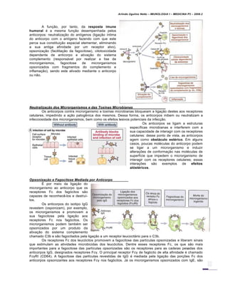 Arlindo Ugulino Netto – IMUNOLOGIA I – MEDICINA P3 – 2008.2
A fun†…o, por tanto, da resposta imune
humoral € a mesma fun†…o desempenhada pelos
anticorpos: neutraliza†…o do ant•genos (liga†…o •ntima
do anticorpo com o ant•geno fazendo com que este
perca sua constitui†…o espacial elementar, eliminando
a sua antiga afinidade por um receptor alvo),
opsoniza†…o (facilita†…o da fagocitose), citotoxicidade
dependente de anticorpo e ativa†…o do sistema
complemento (responsƒvel por realizar a lise de
microrganismos, fagocitose de microrganismos
opsonizados com fragmentos do complemento e
inflama†…o), sendo este ativado mediante o anticorpo
ou n…o.
Neutralizaˆ‚o dos Microrganismos e das Toxinas Microbianas
Os anticorpos contra microrganismo e toxinas microbianas bloqueiam a liga†…o destes aos receptores
celulares, impedindo a a†…o patog‚nica dos mesmos. Dessa forma, os anticorpos inibem ou neutralizam a
infecciosidade dos microrganismos, bem como os efeitos lesivos potenciais da infec†…o.
Os anticorpos se ligam a estruturas
espec•ficas microbianas e interferem com a
sua capacidade de interagir com os receptores
celulares: desse ponto de vista, as anticorpos
agem como obstáculo estérico. Em alguns
casos, poucas mol€culas do anticorpo podem
se ligar a um microrganismo e induzir
altera†‡es de conforma†…o nas mol€culas de
superf•cie que impedem o microrganismo de
interagir com os receptores celulares; essas
intera†‡es s…o exemplos de efeitos
alóstéricos.
Opsonizaˆ‚o e Fagocitose Mediada por Anticorpo
• por meio da liga†…o do
microrganismo ao anticorpo que os
receptores Fc dos fag„citos s…o
capazes de reconhec‚-los e destru•-
los.
Os anticorpos do isotipo IgG
revestem (osponizam), por exemplo,
os microrganismos e promovem a
sua fagocitose pela liga†…o aos
receptores Fc nos fag„citos. Os
microrganismos podem tamb€m ser
opsonizados por um produto da
ativa†…o do sistema complemento
chamado C3b e s…o fagocitados pela liga†…o a um receptor leucocitƒrio para o C3b.
Os receptores Fc dos leuc„citos promovem a fagocitose das part•culas opsonizadas e liberam sinais
que estimulam as atividades microbicidas dos leuc„citos. Dentre esses receptores Fc, os que s…o mais
importantes para a fagocitose das part•culas opsonizadas s…o os receptores para as cadeias pesadas dos
anticorpos IgG, designados receptores Fcγ. O principal receptor Fcγ de fag„cito de alta afinidade € chamado
FcγRI (CD64). A fagocitose das part•culas revestidas de IgG € mediada pela liga†…o das por†‡es Fc dos
anticorpos opsonizantes aos receptores Fcγ nos fag„citos. Jƒ os microrganismos opsonizados com IgE, s…o
 