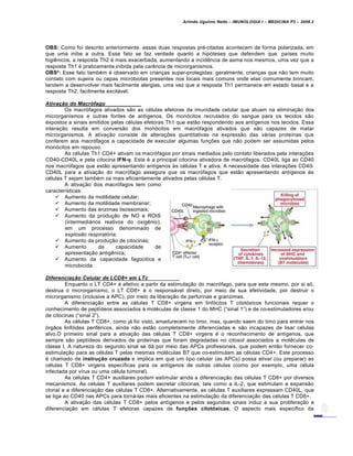 Arlindo Ugulino Netto – IMUNOLOGIA I – MEDICINA P3 – 2008.2
OBS: Como foi descrito anteriormente, essas duas respostas pr€-citadas acontecem de forma polarizada, em
que uma inibe a outra. Esse fato se faz verdade quanto a hip„teses que defendem que: pa•ses muito
higi‚nicos, a resposta Th2 € mais exacerbada, aumentando a incid‚ncia de asma nos mesmos, uma vez que a
resposta Th1 € praticamente inibida pela car‚ncia de microrganismos.
OBS•: Esse fato tamb€m € observado em crian†as super-protegidas: geralmente, crian†as que n…o tem muito
contato com sujeira ou cepas microbiotas presentes nos locais mais comuns onde elas comumente brincam,
tendem a desenvolver mais facilmente alergias, uma vez que a resposta Th1 permanece em estado basal e a
resposta Th2, facilmente excitƒvel.
Ativaˆ‚o do Macr•fago
Os macr„fagos ativados s…o as c€lulas efetoras da imunidade celular que atuam na elimina†…o dos
microrganismos e outras fontes de ant•genos. Os mon„citos recrutados do sangue para os tecidos s…o
expostos a sinais emitidos pelas c€lulas efetoras Th1 que est…o respondendo aos ant•genos nos tecidos. Essa
intera†…o resulta em convers…o dos mon„citos em macr„fagos ativados que s…o capazes de matar
microrganismos. A ativa†…o consiste de altera†‡es quantitativas na express…o das vƒrias prote•nas que
conferem aos macr„fagos a capacidade de executar algumas fun†‡es que n…o podem ser assumidas pelos
mon„citos em repouso.
As c€lulas Th1 CD4+ ativam os macr„fagos por sinais mediados pelo contato liberados pela intera†‡es
CD40-CD40L e pela citocina IFN-γ. Esta € a principal citocina ativadora de macr„fagos. CD40L liga ao CD40
nos macr„fagos que est…o apresentando ant•genos Šs c€lulas T e ativa. A necessidade das intera†‡es CD40-
CD40L para a ativa†…o do macr„fago assegura que os macr„fagos que est…o apresentando ant•genos Šs
c€lulas T sejam tamb€m os mais eficientemente ativados pelas c€lulas T.
A ativa†…o dos macr„fagos tem como
caracter•sticas:
 Aumento da motilidade celular;
 Aumento da motilidade membranar;
 Aumento das enzimas lisossomais;
 Aumento da produ†…o de NO e ROIS
(intermediƒrios reativos do oxig‚nio),
em um processo denominado de
explosão respiratória;
 Aumento da produ†…o de citocinas;
 Aumento da capacidade de
apresenta†…o antig‚nica;
 Aumento da capacidade fagocitica e
microbicida
Diferenciaˆ‚o Celular de LCD8+ em LTc
Enquanto o LT CD4+ € efetivo a partir da estimula†…o do macr„fago, para que este mesmo, por si s„,
destrua o microrganismo, o LT CD8+ € o responsƒvel direto, por meio de sua efetividade, por destruir o
microrganismo (inclusive a APC), por meio da libera†…o de perfurinas e granzimas.
A diferencia†…o entre as c€lulas T CD8+ virgens em linf„citos T citot„xicos funcionais requer o
conhecimento de pept•deos associados Š mol€culas de classe 1 do MHC (“sinal 1”) e de co-estimuladores e/ou
de citocinas (“sinal 2”).
As c€lulas T CD8+, como jƒ foi visto, amadurecem no timo, mas, quando saem do timo para entrar nos
„rg…os linf„ides perif€ricos, ainda n…o est…o completamente diferenciadas e s…o incapazes de lisar c€lulas
alvo.O primeiro sinal para a ativa†…o das c€lulas T CD8+ virgens € o reconhecimento de ant•genos, que
sempre s…o pept•deos derivados de prote•nas que foram degradadas no citosol associados a mol€culas de
classe I. A natureza do segundo sinal se dƒ por meio das APCs profissionais, que podem ent…o fornecer co-
estimula†…o para as c€lulas T pelas mesmas mol€culas B7 que co-estimulam as c€lulas CD4+. Este processo
€ chamado de instru‚ƒo cruzada e implica em que um tipo celular (as APCs) possa ativar (ou preparar) as
c€lulas T CD8+ virgens espec•ficas para os ant•genos de outras c€lulas (como por exemplo, uma c€lula
infectada por v•rus ou uma c€lula tumoral).
As c€lulas T CD4+ auxiliares podem estimular ainda a diferencia†…o das c€lulas T CD8+ por diversos
mecanismos. As c€lulas T auxiliares podem secretar citocinas, tais como a IL-2, que estimulam a expans…o
clonal e a diferencia†…o das c€lulas T CD8+. Alternativamente, as c€lulas T auxiliares expressam CD40L, que
se liga ao CD40 nas APCs para tornƒ-las mais eficientes na estimula†…o da diferencia†…o das c€lulas T CD8+.
A ativa†…o das c€lulas T CD8+ pelos ant•genos e pelos segundos sinais induz a sua prolifera†…o e
diferencia†…o em c€lulas T efetoras capazes de fun‚•es citot€xicas. O aspecto mais espec•fico da
 