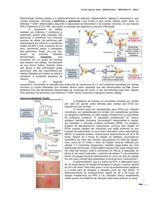 Arlindo Ugulino Netto – IMUNOLOGIA I – MEDICINA P3 – 2008.2
diferencia†…o dessas c€lulas € o desenvolvimento de grˆnulos citoplasmƒticos ligados Š membrana e que
cont€m prote•nas, incluindo a perforina e granzimas, cuja fun†…o € lisar outras c€lulas. Al€m disso, os
linf„citos T CD8+ diferenciados adquirem a capacidade de transcrever e de secretar citocinas, na sua maioria
IFN-γ, linfotoxina (LT) e TNF, que atuam na ativa†…o dos fag„citos e induzem inflama†…o.
O mecanismo de cit„lise
mediado por linf„citos T citot„xicos €
totalmente guiado pela intera†…o das
granzimas e perforinas com enzimas
pr„prias da c€lula. As perforinas s…o
responsƒveis por perfurar a membrana
celular da APC e criar a esp€cie de um
poro, permitindo assim a passagem
das granzimas. Estas, por sua vez,
ativam as enzimas celulares
denominadas caspases, que
consistem em um grupo de enzimas
que existem nas c€lulas, normalmente
na sua forma inativa. Quando estas
s…o ativas e s…o estimuladas pelas
granzimas, elas s…o responsƒveis por
realizar dele†‡es em cadeia na c€lula e
causarem a inevitƒvel apoptose da
mesma.
Como um segundo
mecanismo, hƒ tamb€m a intera†…o das mol€culas de membrana do LT com prote•nas expressas por c€lulas
tumorais ou outras infectadas que tamb€m devem sofrer apoptose que s…o denominadas de Fas. Essas
prote•nas Fas s…o literalmente denominadas de “prote•nas de morte” e s…o reconhecidas pela FasL (ligante
Fas) expresso na membrana dos linf„ticos T CD8+ ativos, induzindo a apoptose dessas c€lulas.
Hipersensibilidade Tardia
A seq•‚ncia de eventos na imunidade mediada por c€lulas
tem sido em grande parte definida pela anƒlise das DTHs em
experi‚ncia com animais.
O homem pode ser sensibilizado para DTHs por infec†…o
microbiana, por sensibiliza†…o de contato com substancias qu•micas
ou ant•genos ambientais, ou pela inje†…o intrad€rmica ou subcutˆnea
de ant•genos prot€icos. A exposi†…o subseq•ente ao mesmo
ant•geno (tamb€m chamada “provoca†…o”) desencadeia a rea†…o.
Por exemplo, o derivado prot€ico purificado (PPD), um ant•geno
prot€ico de Mycobacterium tuberculosis, provoca uma rea†…o de
DTHs quando injetado em indiv•duos que est…o sofrendo ou que
curaram de tuberculose, ou que foram vacinados contra esta doen†a
(BCG). A resposta positiva caracter•stica desenvolve-se em 24 a 48
horas. Depois de 4 horas da inje†…o do ant•geno, acumulam-se
neutr„filos em volta das v‚nulas p„s-capilares no local da inje†…o.
Com cerca de 12 horas o local da inje†…o torna-se infiltrado por
c€lulas T e mon„citos sang••neos, tamb€m organizados em uma
distribui†…o perivenular. O fibrinog‚nio escapa dos vasos sangu•neos
em volta dos tecidos, onde € convertido em fibrina. A deposi†…o de
fibrina e, em menor extens…o, o acŽmulo de c€lulas T e de mon„citos
dentro do espa†o tecidual extravascular em torno do s•tio da inje†…o
faz com que o tecido fique edematoso e torne-se duro (“endurecido”).
O endurecimento, que € a marca da DTH, € detectƒvel cerca
de 18 horas depois da inje†…o do ant•geno e atinge o mƒximo depois
de 24 a 48 horas. Este hiato para o in•cio do endurecimento palpƒvel
€ a raz…o para se designar a resposta como de “tipo tardio”. O
desenvolvimento do endurecimento depois de 24 a 48 horas da
inje†…o intrad€rmica do PPD € um indicador cl•nico amplamente
usado quanto na evid‚ncia de infec†…o tuberculosa anterior ou ativa.
 