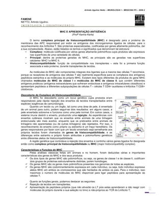 Arlindo Ugulino Netto – IMUNOLOGIA I – MEDICINA P3 – 2008.2
FAMENE
NETTO, Arlindo Ugulino.
IMUNOLOGIA I (DESATUALIZADO)
MHC E APRESENTAÇÃO ANTIGÊNICA
(Profª Karina Karla)
O termo complexo principal de histocompatibilidade (MHC) € designado para a prote•na de
membrana das APC responsƒvel por exibir os ant•genos dos microrganismos ligados Šs c€lulas, para o
reconhecimento dos linf„citos T. S…o prote•nas especializadas, codificadas por genes altamente polimorfos, da•
a sua complexidade. Abaixo, est…o listados os termos e significados que denominam tal estrutura:
• Complexo: mol€cula codificada por vƒrios genes altamente polim„rficos cujos produtos s…o expressos
nas superf•cies de uma variedade de c€lulas.
• Principal: dentre as prote•nas geradas do MHC, as principais s…o as geradas nas superf•cies
celulares- MHC I e MHC II.
• Histocompatibilidade: fun†…o de compatibilidade nos transplantes – esta foi a primeira fun†…o
associada a esta prote•na, durante transplantes de tecidos.
As mol€culas do MHC s…o componentes integrais dos ligantes que a maioria das c€lulas T reconhece,
porque os receptores de ant•genos das c€lulas T s…o realmente espec•ficos para os complexos dos ant•genos
pept•dicos estranhos e as mol€culas do pr„prio MHC. Existem dois tipos diferentes de produtos do gene MHC
chamados moléculas do MHC de classe I e moléculas do MHC de classe II, que cont€m diferentes
ant•genos prot€icos (ant•genos extracelulares que sofreram endocitose e ant•genos intracelulares citos„licos) e
apresentam pept•deos a diferentes subpopula†‡es de c€lulas T – c€lulas T CD4+ auxiliares e linf„citos T CD8+
citot„xicos.
Descoberta do Complexo de Histocompatibilidade
O MHC foi descoberto como um locus gen€tico cujos produtos eram
responsƒveis pela rƒpida rejei†…o dos enxertos de tecidos transplantados entre
esp€cies isog‚nicas de camundongos.
Quando um tecido ou um „rg…o, tal como uma ƒrea de pele, € enxertado
de um animal para outro, podem seguir-se dois resultados: em alguns casos, a
pele enxertada sobrevive e funciona como uma pele normal. Em outros casos, o
sistema imune destr„i o enxerto, produzindo uma rejeição. As experi‚ncias com
enxertos cutˆneos mostram que os enxertos entre animais de uma linhagem
endocruzada s…o mais aceitos, enquanto que os praticados entre animais de
linhagens n…o aparentadas (ou de outras linhagens) s…o rejeitados. Por isso, o
reconhecimento do enxerto como pr„prio ou estranho € um tra†o hereditƒrio. Os
genes responsƒveis por fazer com que um tecido enxertado seja semelhante aos
pr„prios tecidos foram chamados de genes de histocompatibilidade, e as
diferen†as entre estranho e pr„prio foram atribu•das a polomorfismo gen€ticos
entre diferentes alelos de histocompatibilidade.
A regi…o gen€tica que controlava a rejei†…o dos enxertos e continha vƒrios genes ligados foi designada
ent…o como complexo principal de histocompatibilidade ou MHC (major histocompatibility complex).
Caracterƒsticas e Funˆ‰es do MHC
Pelas anƒlises clƒssicas feitas em animais e no homem, foram deduzidas vƒrias e importantes
caracter•sticas dos genes do MHC e dos seus produtos:
 Os dois tipos de genes MHC s…o polom„rficos, ou seja, os genes de classe I e de classe II, codificam
dois grupos de prote•nas estruturalmente distintas, por€m hom„logas.
 Os genes MHC s…o os genes mais polim„rficos presentes nos genomas de todas as esp€cies.
 Os genes MHC s…o codominantemente expressos em cada indiv•duo, ou seja, todo indiv•duo expressa
alelos MHC em ambos os cromossomos que s…o herdados de ambos os pais. Para o indiv•duo, isso
maximiza o nŽmero de mol€culas do MHC dispon•vel para ligar pept•deos para apresenta†…o Šs
c€lulas T.
Quanto as fun†‡es gerais, podemos destacar as seguintes:
 Rejei†…o de tecidos em transplantes;
 Apresenta†…o de pept•deos pr„prios (que n…o ativar…o os LT pois estes aprenderam a n…o reagir com
mol€culas do pr„prio durante a sua sele†…o no timo) e n…o-pr„prios ao TCR do Linf„cito T;
 