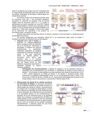 Arlindo Ugulino Netto – IMUNOLOGIA I – MEDICINA P3 – 2008.2
pelos LT auxiliares que se ligam aos LB. O resultado final
é a estimulação da expansão clonal das células B, troca
de isótipos, maturação da afinidade e diferenciação em
células B de memória.
No folículo primário dos linfonodos (porção onde
se concentra mais LB), o LB reconhece peptídeos
ancorados na superfície do antígeno. Fora do folículo
(região onde se concentra mais LT), o LT auxiliar é
apresentado ao mesmo peptídeo por uma APC. Depois
dessas apresentações, acontece uma interação entre as
células T e B nos limites entre os folículos linfóides e as
zonas de LT. Após essa interação, o LB se torna capaz
de se diferenciar em plasmócito e de produzir Ig,
terminando assim, os eventos iniciais.
Na fase mais tardia, que acontece dentro do folículo, acontece a troca de isotipo e o amadurecimento
de afinidade do anticorpo.
Os eventos seqüenciais nas interações células B-T e os mecanismos pelos quais as células T
auxiliares estimulam os linfócitos B são os que seguem:
 Interação LTa x LB (1ª etapa): os
linfócitos B antígeno-específicos
ligam o antígeno nativo às moléculas
de Ig de membrana, interiorizam e
processam o antígeno nas vesícula
endossômicas e apresentam
fragmentos peptídicos do antígeno
associados às moléculas do MHC de
classe II nas suas superfícies.
Assim, as próprias células B
funcionam como APCs. Isso
acontece para o LT produza
citocinas que induzem a proliferação
dos LB. Dessa forma, os dois
linfócitos cooperantes reconhecem o
diferentes epítopos do mesmo
complexo antigênico.
o Participação dos Co-estimuladores: a ligação do antígeno à Ig de membrana favorece a
expressão dos co-estimuladores que aumentam a capacidade do linfócito B para ativar as
células T. Os principais co-estimuladores que são expressos nas células B ativadas são o B7-2
e B7-1, ambos ligando-se ao CD28 na células T. As células T auxiliares podem então
reconhecer os complexos peptídeo-MHC (sinal 1) e os co-estimuladores (sinal 2, como o que
ocorre com o CD40 do LB com o CD40L do LT), sendo assim estimuladas para executar a sua
função efetora, que é a de promover o crescimento e diferenciação do LB.
 Diferenciação de células B em células secretoras
de anticorpos (2ª Etapa): os anticorpos secretados
são as moléculas efetoras da imunidade humoral, e a
diferenciação das células B, desde o reconhecimento
do antígeno até a condição de célula efetora, envolve
uma mudança na expressão da Ig de membrana para
a forma secretada. As moléculas de Ig de membrana
e as secretadas diferem no seu carboxiterminal. A
transição da Ig de membrana para a Ig secretada
reflete uma mudança no processamento do RNAm da
cadeia pesada. O que acontece é uma não expressão
da seqüência TM (transmembranar) do gene produtor
das Ig. Uma vez carente da sua porção hidrofóbica
transmembranar, o anticorpo passa de uma forma
membranar para uma forma secretora.
 