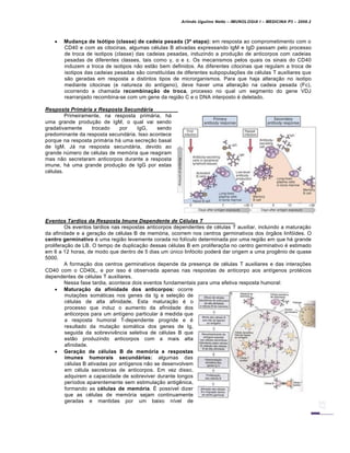 Arlindo Ugulino Netto – IMUNOLOGIA I – MEDICINA P3 – 2008.2
 Mudança de Isótipo (classe) de cadeia pesada (3ª etapa): em resposta ao comprometimento com o
CD40 e com as citocinas, algumas c€lulas B ativadas expressando IgM e IgD passam pelo processo
de troca de isotipos (classe) das cadeias pesadas, induzindo a produ†…o de anticorpos com cadeias
pesadas de diferentes classes, tais como γ, α e ε. Os mecanismos pelos quais os sinais do CD40
induzem a troca de isotipos n…o est…o bem definidos. As diferentes citocinas que regulam a troca de
isotipos das cadeias pesadas s…o constitu•das de diferentes subpopula†‡es de c€lulas T auxiliares que
s…o geradas em resposta a distintos tipos de microrganismos. Para que haja altera†…o no isotipo
mediante citocinas (e natureza do ant•geno), deve haver uma altera†…o na cadeia pesada (Fc),
ocorrendo a chamada recombinação de troca, processo no qual um segmento do gene VDJ
rearranjado recombina-se com um gene da regi…o C e o DNA interposto € deletado.
Resposta Prim†ria x Resposta Secund†ria
Primeiramente, na resposta primƒria, hƒ
uma grande produ†…o de IgM, o qual vai sendo
gradativamente trocado por IgG, sendo
predominante da resposta secundƒria. Isso acontece
porque na resposta primƒria hƒ uma secre†…o basal
de IgM. Jƒ na resposta secundƒria, devido ao
grande nŽmero de c€lulas de mem„ria que reagiram
mas n…o secretaram anticorpos durante a resposta
imune, hƒ uma grande produ†…o de IgG por estas
c€lulas.
Eventos Tardios da Resposta Imune Dependente de C„lulas T
Os eventos tardios nas respostas anticorpos dependentes de c€lulas T auxiliar, incluindo a matura†…o
da afinidade e a gera†…o de c€lulas B de mem„ria, ocorrem nos centros germinativos dos „rg…os linf„ides. O
centro germinativo € uma regi…o levemente corada no fol•culo determinada por uma regi…o em que hƒ grande
prolifera†…o de LB. O tempo de duplica†…o dessas c€lulas B em prolifera†‡a no centro germinativo € estimado
em 6 a 12 horas, de modo que dentro de 5 dias um Žnico linf„cito poderƒ dar origem a uma prog‚nio de quase
5000.
A forma†…o dos centros germinativos depende da presen†a de c€lulas T auxiliares e das intera†‡es
CD40 com o CD40L, e por isso € observada apenas nas respostas de anticorpo aos ant•genos prot€icos
dependentes de c€lulas T auxiliares.
Nessa fase tardia, acontece dois eventos fundamentais para uma efetiva resposta humoral:
 Maturação da afinidade dos anticorpos: ocorre
muta†‡es somƒticas nos genes da Ig e sele†…o de
c€lulas de alta afinidade. Esta matura†…o € o
processo que induz o aumento da afinidade dos
anticorpos para um ant•geno particular Š medida que
a resposta humoral T-dependente progride e €
resultado da muta†…o somƒtica dos genes de Ig,
seguida da sobreviv‚ncia seletiva de c€lulas B que
est…o produzindo anticorpos com a mais alta
afinidade.
 Geração de células B de memória e respostas
imunes humorais secundárias: algumas das
c€lulas B ativadas por ant•genos n…o se desenvolvem
em c€lula secretoras de anticorpos. Em vez disso,
adquirem a capacidade de sobreviver durante longos
per•odos aparentemente sem estimula†…o antig‚nica,
formando as células de memória. • poss•vel dizer
que as c€lulas de mem„ria sejam continuamente
geradas e mantidas por um baixo n•vel de
 