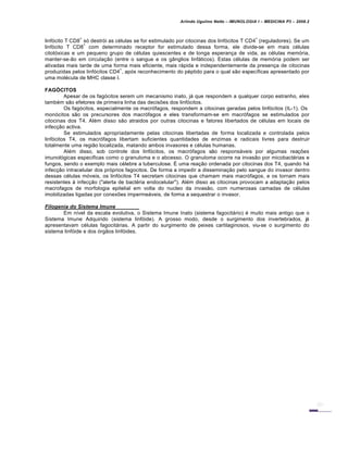 Arlindo Ugulino Netto – IMUNOLOGIA I – MEDICINA P3 – 2008.2
linfócito T CD8
+
só destrói as células se for estimulado por citocinas dos linfócitos T CD4
+
(reguladores). Se um
linfócito T CD8
+
com determinado receptor for estimulado dessa forma, ele divide-se em mais células
citotóxicas e um pequeno grupo de células quiescentes e de longa esperança de vida, as células memória,
manter-se-ão em circulação (entre o sangue e os gânglios linfáticos). Estas células de memória podem ser
ativadas mais tarde de uma forma mais eficiente, mais rápida e independentemente da presença de citocinas
produzidas pelos linfócitos CD4
+
, após reconhecimento do péptido para o qual são específicas apresentado por
uma molécula de MHC classe I.
FAGÓCITOS
Apesar de os fagócitos serem um mecanismo inato, já que respondem a qualquer corpo estranho, eles
também são efetores de primeira linha das decisões dos linfócitos.
Os fagócitos, especialmente os macrófagos, respondem a citocinas geradas pelos linfócitos (IL-1). Os
monócitos são os precursores dos macrófagos e eles transformam-se em macrófagos se estimulados por
citocinas dos T4. Além disso são atraidos por outras citocinas e fatores libertados de células em locais de
infecção activa.
Se estimulados apropriadamente pelas citocinas libertadas de forma localizada e controlada pelos
linfócitos T4, os macrófagos libertam suficientes quantidades de enzimas e radicais livres para destruir
totalmente uma região localizada, matando ambos invasores e células humanas.
Além disso, sob controle dos linfócitos, os macrófagos são responsáveis por algumas reações
imunológicas especificas como o granuloma e o abcesso. O granuloma ocorre na invasão por micobactérias e
fungos, sendo o exemplo mais célebre a tuberculose. É uma reação ordenada por citocinas dos T4, quando há
infecção intracelular dos próprios fagocitos. De forma a impedir a disseminação pelo sangue do invasor dentro
dessas células móveis, os linfócitos T4 secretam citocinas que chamam mais macrófagos, e os tornam mais
resistentes à infecção ("alerta de bactéria endocelular"). Além disso as citocinas provocam a adaptação pelos
macrofagos de morfologia epitelial em volta do nucleo da invasão, com numerosas camadas de células
imobilizadas ligadas por conexões impermeáveis, de forma a sequestrar o invasor.
Filogenia do Sistema Imune
Em nível da escala evolutiva, o Sistema Imune Inato (sistema fagocitário) é muito mais antigo que o
Sistema Imune Adquirido (sistema linfóide). A grosso modo, desde o surgimento dos invertebrados, já
apresentavam células fagocitárias. A partir do surgimento de peixes cartilaginosos, viu-se o surgimento do
sistema linfóide e dos órgãos linfóides.
 