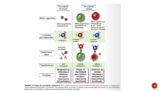 Imunologia PROPRIEDADES GERAIS UNINASSAU2023.pdf