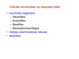 Células envolvidas na resposta inata
• Leucócitos (fagócitos)
– Neutrófilos
– Eosinófilos
– Basófilos
– Monócitos/macrófagos
• Células exterminadoras naturais
• plaquetas

 