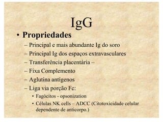 IgG
• Propriedades
– Principal e mais abundante Ig do soro
– Principal Ig dos espaços extravasculares
– Transferência placentária –
– Fixa Complemento
– Aglutina antígenos
– Liga via porção Fc:
• Fagócitos - opsonization
• Células NK cells – ADCC (Citotoxicidade celular
dependente de anticorpo.)

 