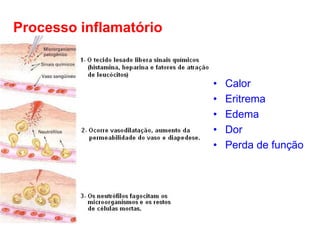 Processo inflamatório

•
•
•
•
•

Calor
Eritrema
Edema
Dor
Perda de função

 