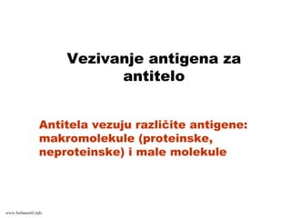 Vezivanje antigena za
antitelo
Antitela vezuju različite antigene:
makromolekule (proteinske,
neproteinske) i male molekule
www.belimantil.info
 