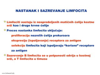 NASTANAK I SAZREVANJE LIMFOCITA
Limfociti nastaju iz neopredeljenih matičnih ćelija kostne
srži kao i druge krvne ćelije
Proces nastanka limfocita uključuje:
- proliferaciju nezrelih ćelija prekursora
- ekspresiju (ispoljavanje) receptora za antigen
- selekciju limfocita koji ispoljavaju “korisne” receptore
za antigen
Sazrevanje B limfocita se u potpunosti odvija u kostnoj
srži, a T limfocita u timusu
www.belimantil.info
 
