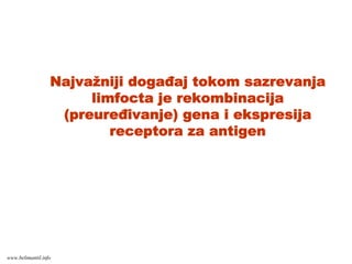 Najvažniji događaj tokom sazrevanja
limfocta je rekombinacija
(preuređivanje) gena i ekspresija
receptora za antigen
www.belimantil.info
 