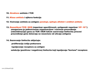 10. Struktura antitela i TCR
11. Klase antitela i njihova funkcija
12. Vezivanje antitela za antigen: paratopi, epitopi; afinitet i aviditet antitela
13. Raznolikost TCR i BCR (repertoar specifičnosti, antigenski repertoar 109- 1011)
omogućena je jedinstvenom organizacijom i načinom preuređenja
(rekombinacije) gena za TCR i BCR tokom sazrevanja limfocita; procesi
preuređenja gena dešavaju se nezavisno od uticaja antigena
14. Sazrevanje limfocita uključuje:
proliferaciju ćelija prekursora
ispoljavanje receptora za antigen
selekciju (pozitivnu i negativnu) limfocita koji ispoljavaju “korisne” receptore
www.belimantil.info
 