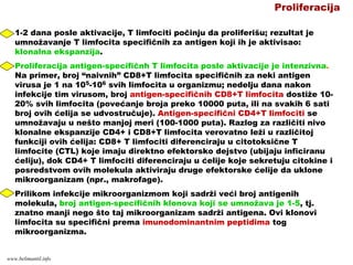 Proliferacija
1-2 dana posle aktivacije, T limfociti počinju da proliferišu; rezultat je
umnožavanje T limfocita specifičnih za antigen koji ih je aktivisao:
klonalna ekspanzija.
Proliferacija antigen-specifičnh T limfocita posle aktivacije je intenzivna.
Na primer, broj “naivnih” CD8+T limfocita specifičnih za neki antigen
virusa je 1 na 105-106 svih limfocita u organizmu; nedelju dana nakon
infekcije tim virusom, broj antigen-specifičnih CD8+T limfocita dostiže 10-
20% svih limfocita (povećanje broja preko 10000 puta, ili na svakih 6 sati
broj ovih ćelija se udvostručuje). Antigen-specifični CD4+T limfociti se
umnožavaju u nešto manjoj meri (100-1000 puta). Razlog za različiti nivo
klonalne ekspanzije CD4+ i CD8+T limfocita verovatno leži u različitoj
funkciji ovih ćelija: CD8+ T limfociti diferenciraju u citotoksične T
limfocite (CTL) koje imaju direktno efektorsko dejstvo (ubijaju inficiranu
ćeliju), dok CD4+ T limfociti diferenciraju u ćelije koje sekretuju citokine i
posredstvom ovih molekula aktiviraju druge efektorske ćelije da uklone
mikroorganizam (npr., makrofage).
Prilikom infekcije mikroorganizmom koji sadrži veći broj antigenih
molekula, broj antigen-specifičnih klonova koji se umnožava je 1-5, tj.
znatno manji nego što taj mikroorganizam sadrži antigena. Ovi klonovi
limfocita su specifični prema imunodominantnim peptidima tog
mikroorganizma.
www.belimantil.info
 