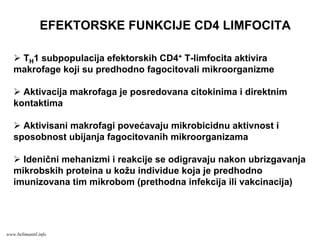 EFEKTORSKE FUNKCIJE CD4 LIMFOCITA
TH1 subpopulacija efektorskih CD4+ T-limfocita aktivira
makrofage koji su predhodno fagocitovali mikroorganizme
Aktivacija makrofaga je posredovana citokinima i direktnim
kontaktima
Aktivisani makrofagi povećavaju mikrobicidnu aktivnost i
sposobnost ubijanja fagocitovanih mikroorganizama
Idenični mehanizmi i reakcije se odigravaju nakon ubrizgavanja
mikrobskih proteina u kožu individue koja je predhodno
imunizovana tim mikrobom (prethodna infekcija ili vakcinacija)
www.belimantil.info
 