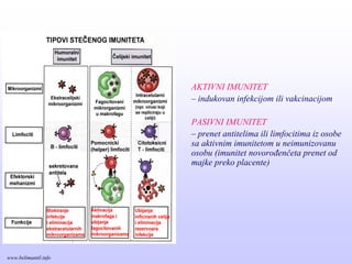 AKTIVNI IMUNITET
– indukovan infekcijom ili vakcinacijom
PASIVNI IMUNITET
– prenet antitelima ili limfocitima iz osobe
sa aktivnim imunitetom u neimunizovanu
osobu (imunitet novorođenčeta prenet od
majke preko placente)
www.belimantil.info
 
