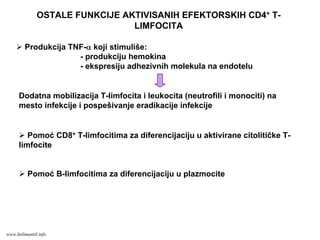 OSTALE FUNKCIJE AKTIVISANIH EFEKTORSKIH CD4+ T-
LIMFOCITA
Produkcija TNF-α koji stimuliše:
- produkciju hemokina
- ekspresiju adhezivnih molekula na endotelu
Dodatna mobilizacija T-limfocita i leukocita (neutrofili i monociti) na
mesto infekcije i pospešivanje eradikacije infekcije
Pomoć CD8+ T-limfocitima za diferencijaciju u aktivirane citolitičke T-
limfocite
Pomoć B-limfocitima za diferencijaciju u plazmocite
www.belimantil.info
 