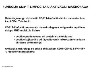 FUNKCIJA CD8+ T-LIMFOCITA U AKTIVACIJI MAKROFAGA
Makrofage mogu aktivisati i CD8+ T-limfociti sličnim mehanizmima
kao i CD4+ T-limfociti.
CD8+ T-limfociti prepoznaju na makrofagama antigenske peptide u
sklopu MHC molekula I klase
- peptide produkovane od proteina iz citoplazme
- peptide koji potiču od fagocitovanih mikroba (mehanizam
ukrštene prezentacije)
Aktivacija makrofaga se odvija aktivacijom CD40-CD40L i IFN-γ-IFN
-γ receptor interakcijama
www.belimantil.info
 
