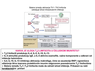 KAKVA JE ULOGA TH2 LIMFOCITA U ĆELIJSKOM IMUNITETU?
TH2 limfociti produkuju IL-4, IL-5, IL-10, IL-13.
IL-4 stimuliše produkciju IgE, a IL-5 aktivira eozinofile, važne komponente u odbrani od
infekcije helmintima
IL4, IL-10, IL-13 inhibiraju aktivaciju makrofaga, čime se zaustavlja RKP i ograničava
oštećenje tkiva izazvano protektivnim imunim odgovorom posredovanim TH1 limfocitima
Balans između TH1 i TH2 limfocita može da odredi ishod infekcije. Prikazani su neki
karakteristični primeriwww.belimantil.info
 