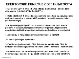 EFEKTORSKE FUNKCIJE CD8+ T-LIMFOCITA
Efektorski CD8+ T-limfociti vrše citolizu ciljnih ćelija i zato se zovu
citotoksični (citolitički) T-limfociti (CTL)
Mete citolitičkih T-limfocita su sopstvene ćelije koje ispoljavaju strane
antigenske peptide u sklopu MHC molekula I klase ili alogene ćelije
(transplantacija)
Antigenski peptidi potiču od proteina iz citoplazme (npr. virusni
proteini) ili iz vezikula (fagocitovani mikroorganizmi, fagocitovane
apoptotične ćelije) transportom u citoplazmu (ukrštena prezentacija)
Za citolizu je neophodan direktan međućelijski kontakt
Citoliza je antigen specifična
Za diferencijaciju naivnih CD8+ T-limfocita u efektorske CD8+ T-
limfocite neophodna je pomoć od strane CD4+ T-limfocita i kostimulacija
Diferentovani CTL ne zahtevaju pomoć od strane CD4+ T-limfocita i
kostimulaciju i zato oni mogu ubijati inficirane ćelije u bilo kom tkivu
www.belimantil.info
 