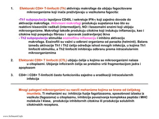 1. Efektorski CD4+ T-limfociti (Th) aktiviraju makrofage da ubijaju fagocitovane
mikroorganizme koji inače preživljavaju u vezikulama fagocita:
-Th1 subpopulacija ispoljava CD40L i sekretuje IFN-γ koji zajedno dovode do
aktivacije makrofaga. Aktivisani makrofagi produkuju supstance kao što su
reaktivni kiseonički radikali (intermedijeri), NO i lizozomalni enzimi koji ubijaju
mikroorganizme. Makrofagi takođe produkuju citokine koji indukuju inflamaciju, kao i
citokine koji pospešuju fibrozu i oporavak (ozdravljenje) tkiva
- Th2 subpopulacija stimuliše eozinofilnu inflamaciju i inhibira aktivaciju
makrofaga. Eozinofili su važni u odbrani organizma od parazita (helminti). Balans
između aktivacije Th1 i Th2 ćelija određuje ishod mnogih infekcija, u kojima Th1
limfociti stimulišu, a Th2 limfociti inhibiraju odbranu prema intracelularnim
mikroorganizmima
2. Efektorski CD8+ T limfociti (CTL) ubijaju ćelije u kojima se mikroorganizmi nalaze
u citoplazmi. Ubijanje inficiranih ćelija se pretežno vrši fragmentacijom jedra i
apoptozom
3. CD4+ i CD8+ T-limfociti često funkcionišu zajedno u eradikaciji intracelularnih
infekcija
________________________________________________________________________________
Mnogi patogeni mikroorganizmi su razvili mehanizme kojima se brane od ćelijskog
imuniteta. Ti mehanizmi su: inhibicija fuzije fagolizozoma, sposobnost izlaska iz
vezikula (fagozoma) u citoplazmu, inhibicija povezivanja kompleksa peptida i MHC
molekula I klase, produkcija inhibitornih citokina ili produkcija solubilnih
citokinskih receptora.
www.belimantil.info
 