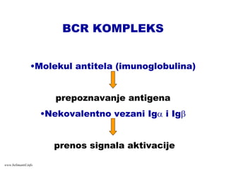 BCR KOMPLEKS
•Molekul antitela (imunoglobulina)
prepoznavanje antigena
•Nekovalentno vezani Igα i Igβ
prenos signala aktivacije
www.belimantil.info
 