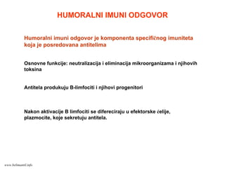 HUMORALNI IMUNI ODGOVOR
Humoralni imuni odgovor je komponenta specifičnog imuniteta
koja je posredovana antitelima
Osnovne funkcije: neutralizacija i eliminacija mikroorganizama i njihovih
toksina
Antitela produkuju B-limfociti i njihovi progenitori
Nakon aktivacije B limfociti se difereciraju u efektorske ćelije,
plazmocite, koje sekretuju antitela.
www.belimantil.info
 