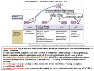 Za sekreciju IgM, čija je osnovna efektorska funkcija aktivacija komplementa, nije neophodna pomoć od
strane T-limfocita.
Pod uticajem CD40L ispoljenog na pomoćničkim T-limfocitima i citokina koje ove ćelije produkuju
dolazi do procesa izotipskog prekopčavanja u B-limfocitima i sekrecije drugih klasa antitela.
Na produkciju i sekreciju IgG (podklase IgG 1 i IgG3) utiče IFN-γ; ova antitela učestvuju u procesima
opsonizacije i fagocitoze (posredovani Fc receptorom), u aktivaciji komplementa i neonatalnom
imunitetu.
Na produkciju i sekreciju IgE koji je bitan za imunitet prema helmintima i reakciji ranog tipa
preosetljivosti utiče Il-4.
Na produkciju i sekreciju IgA u mukoznim tkivima koji su važni za lokalni imunitet sluznica utiče TGF β.
Shema preuzeta iz knjige Basic Immunology, Abbas i Lichtman, iskljućivo za potrebe predavanja
www.belimantil.info
 