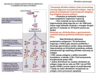 Povećanje afiniteta antitela u toku humoralnog
imunog odgovora na proteinski antigen, koje se
javlja pri produženom ili ponovljenom izlaganju
tog antigena imunom sistemu :
- Posledica je tačkastih mutacija u
hipervarijabilnim regionima V gena Ig
- Ove mutacije se zovu somatske
hipermutacije zbog toga što su i do 1000 puta
češće nego tačkaste mutacije u mnogim drugim
genima (1 mutacija na 103 baznih parova po
deobi)
Dešavaju se u B-limfocitima u germinativnim
centrima folikula perifernih limfoidnih organa i
tkiva
Neki B-limfociti aktivisani
proteinskim antigenom i Th-limfocitima
migriraju u folikul gde ubrzano proliferišu i
formiraju germinativni centar; zbog somatskih
hipermutacija ovi B-limfociti produkuju antitela
(membranski Ig) različitog afiniteta vezivanja za
antigen.
FDC vezuju antigene u obliku imunskih
kompleksa, a takođe i C3b i C3d komponentu
komplementa preko CR2
Jedino B-limfociti sa visokim afinitetom za
antigen mogu da se vežu za FDC i da od FDC
(preko CD40-L) prime signal za preživljavanje
Ćelije sa nisko afinitetnim receptorom za
antigen umiru procesom apoptoze
Afinitetno sazrevanje
www.belimantil.info
 