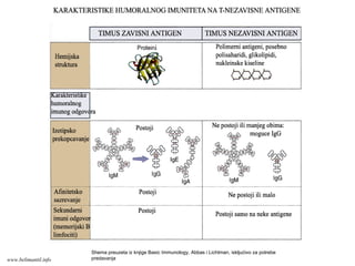 Shema preuzeta iz knjige Basic Immunology, Abbas i Lichtman, iskljućivo za potrebe
predavanjawww.belimantil.info
 